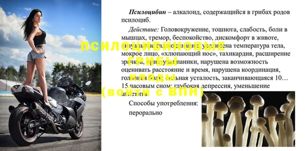 СК Аркадак