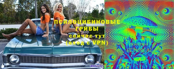 СК Аркадак